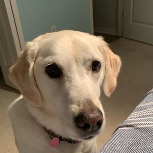 Meet your Posher, Mary